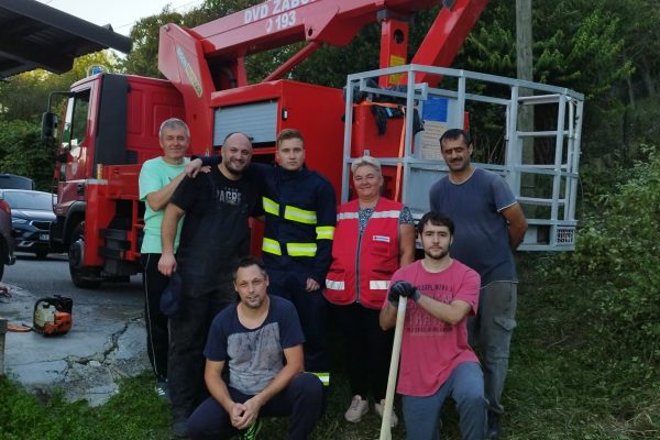 Zajednička akcija uklanjanja potencijalno opasnog stabla
